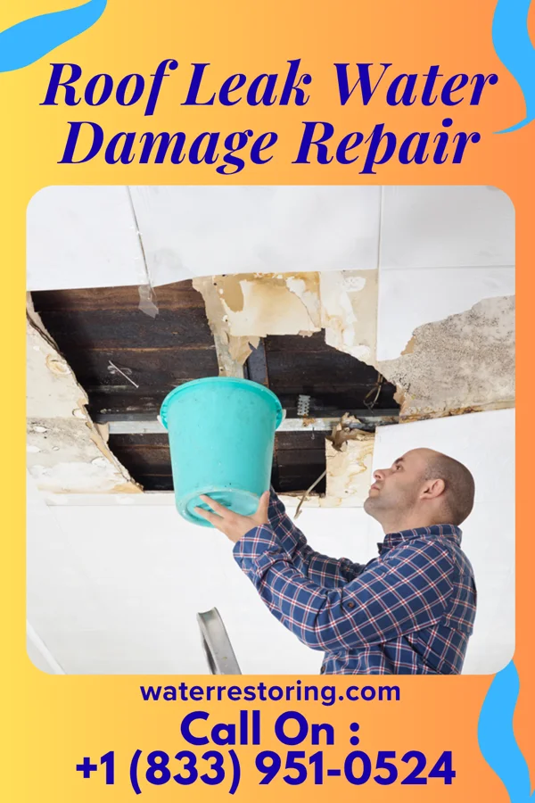 Roof Leak Water Damage Repair in Barrett, MN